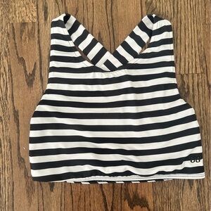 Albion Fit Game Changer Hang Ten crop swim top